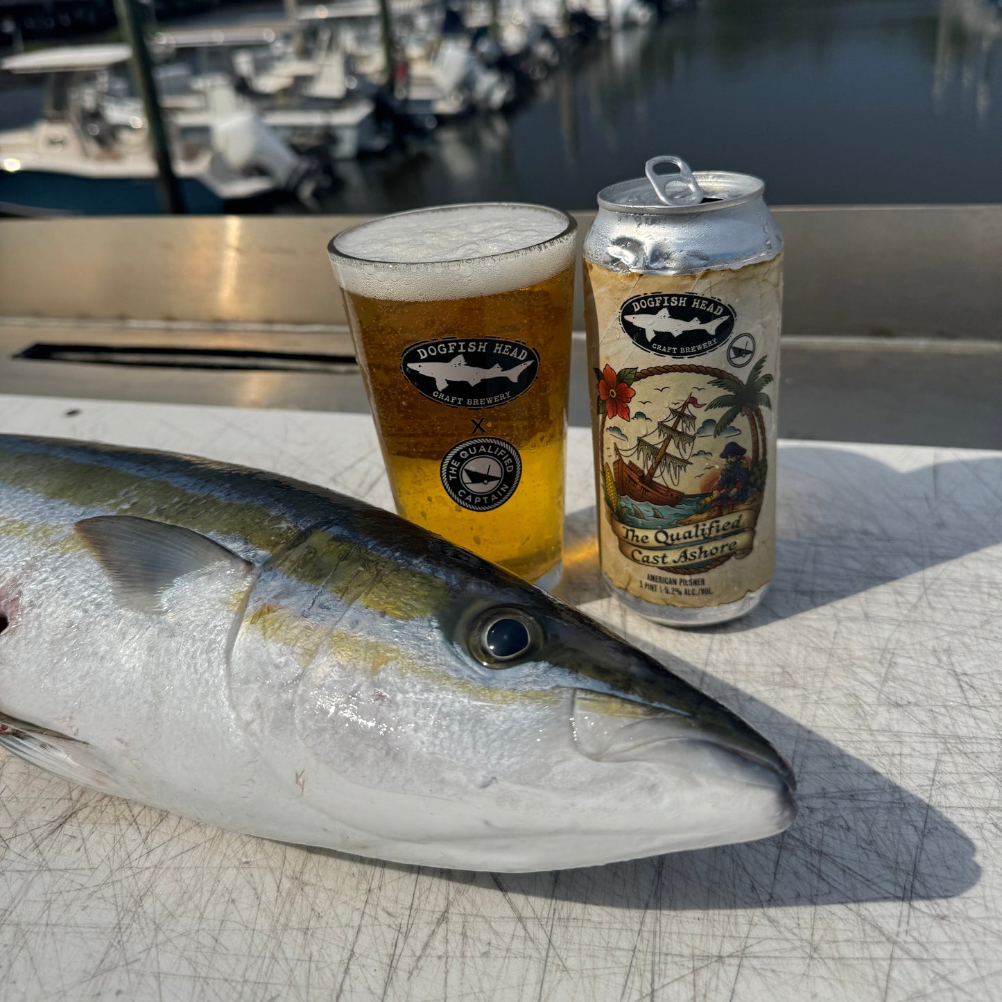 Dogfish Head x Qualified Captain Pint Glass