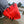 Prop and Skeg Safety Cover