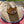 Qualified Straw Hats