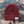 Starboard Knit Beanie